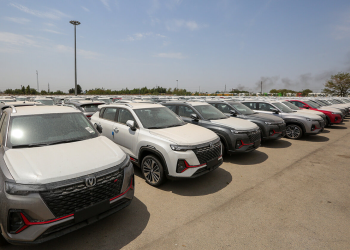 آغاز عرضه خودرو‌های وارداتی با دستور دادستان تهران