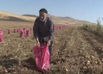 کمک ۲ میلیاردی کشاورز همدانی به مردم مظلوم لبنان+فیلم