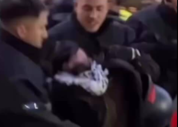 حمله وحشیانه پلیس آلمان به تظاهرکنندگان حامی مردم فلسطین+فیلم