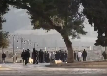 تعرض شهرک‌نشینان صهیونیست به مسجد الاقصی + فیلم