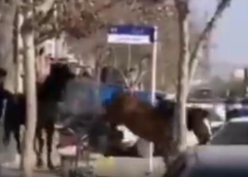 حادثه‌ای عجیب در مشهد +فیلم