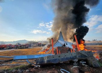 یک هواپیمای دیگر در کره جنوبی دچار سانحه شد