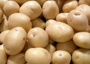 دلایل کمبود و گرانی سیب‌زمینی در بازار