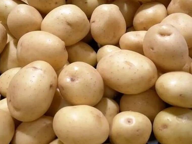 دلایل کمبود و گرانی سیب‌زمینی در بازار