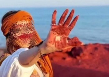 مسافرانی که همه چیز برایشان آزاد است حتی مشروبات الکلی!+ فیلم