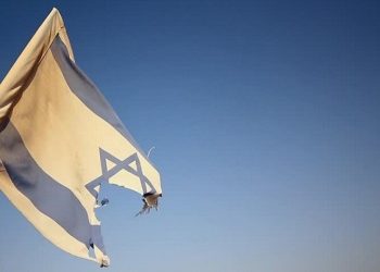 اینفوگرافی بازنده