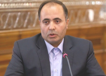 وزیر جهادکشاورزی: مجوز واردات ۵۰ هزار تن سیب زمینی صادر شد