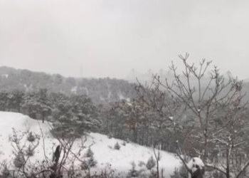 تصاویر برفی پارک جنگلی لویزان تهران