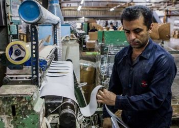 مقاومت در برابر بخش خصوصی؛ چرا؟