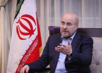 قالیباف: دستگاه‌های دولتی در کار گروه‌های مردمی دخالت نکنند