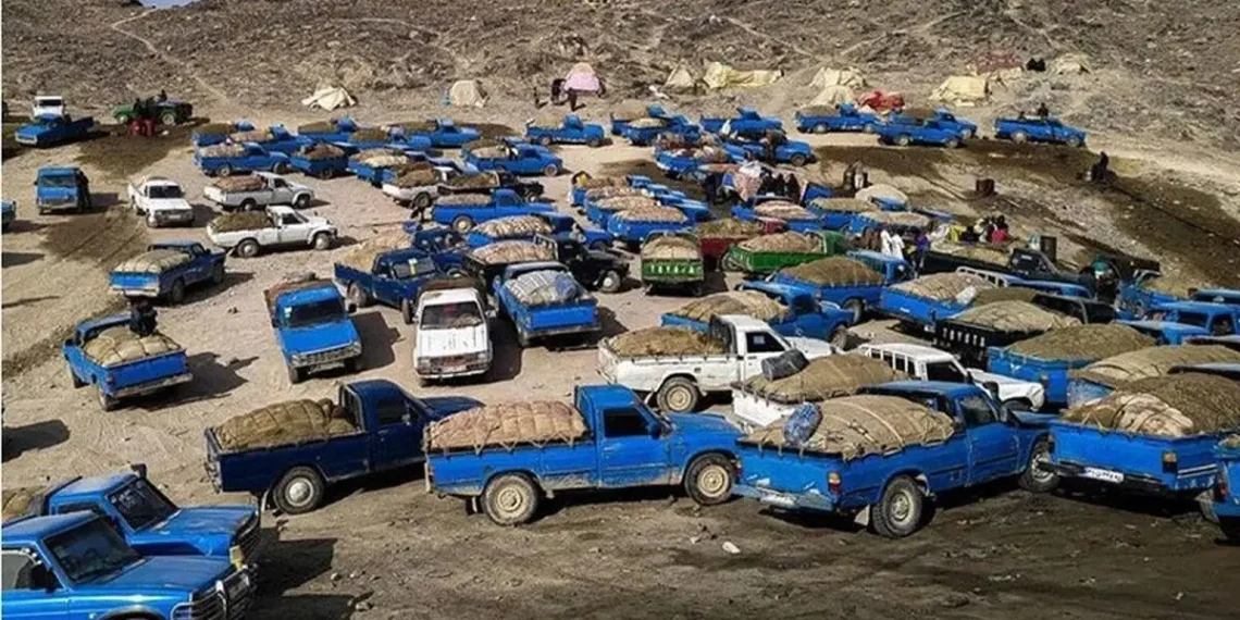 اولین تصاویر از شبکه عظیم زیرزمینی انتقال سوخت قاچاق در قشم