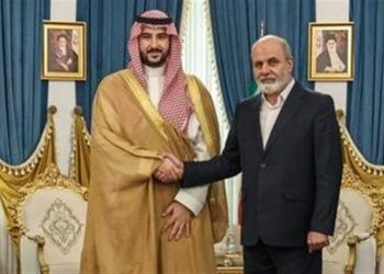 دیدار وزیر دفاع عربستان با دبیر شورای عالی امنیت ملی