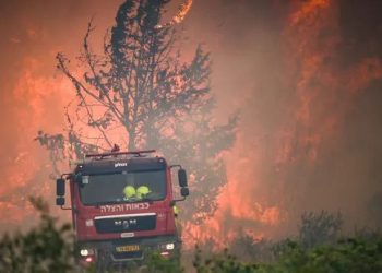 آتش سوزی گسترده به جان اشغالگران افتاد