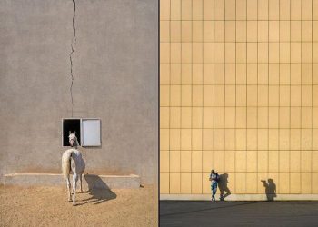 راه یافتن عکاس ایرانی به سطح جهانی