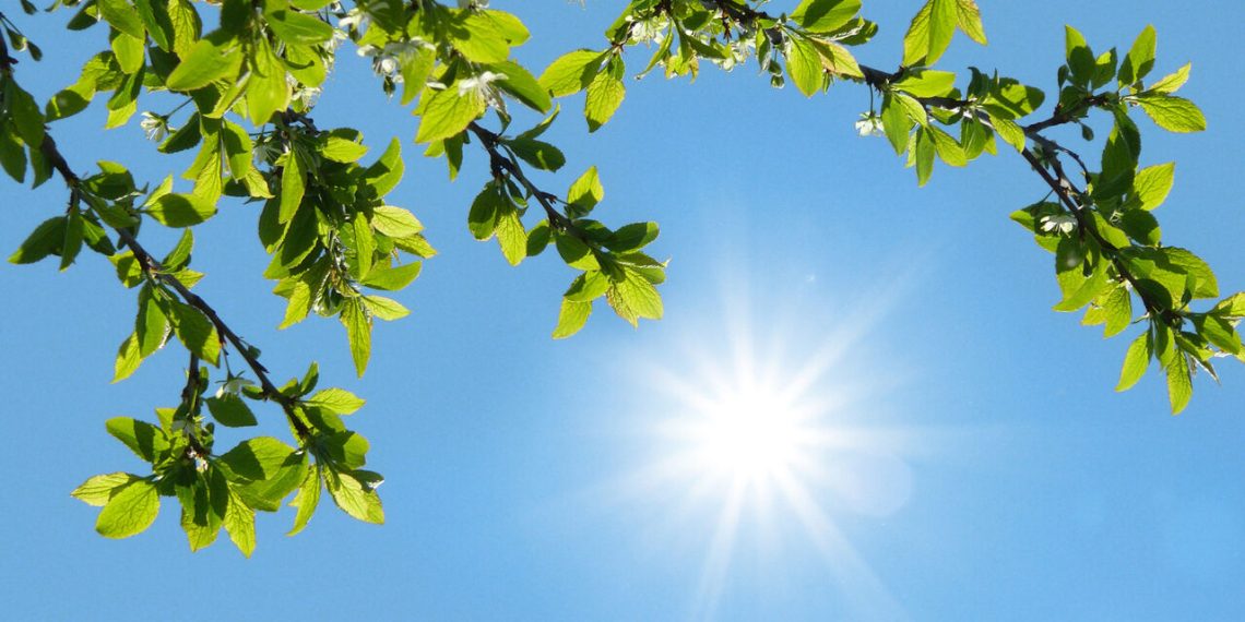 افزایش تدریجی دما در اغلب مناطق/ ورود گردوخاک از جنوب غرب