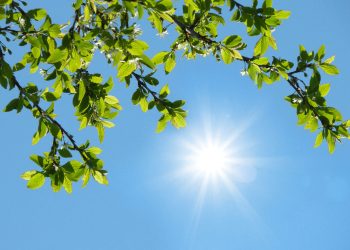 افزایش تدریجی دما در اغلب مناطق/ ورود گردوخاک از جنوب غرب