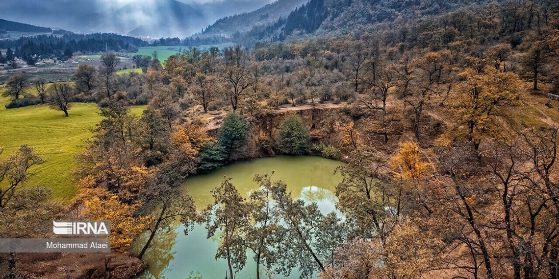 هرگونه خرید و فروش اراضی جنگلی و ملی ممنوع است