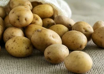 قیمت سیب‌زمینی در بازار کاهشی می‌شود