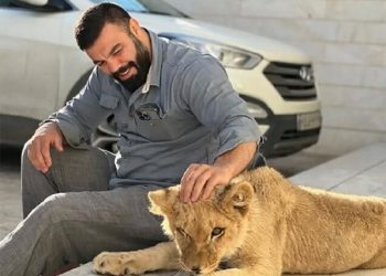 حیوانات وحشی در خانه؛ تهدید پنهان در ویترین لاکچری‌نماها