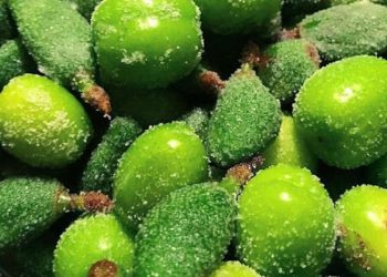 قیمت نجومی نوبرانه‌های بهار