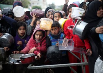 از سرگیری ارسال کمک‌های ضروری به غزه از طریق نهادهای بین‌المللی