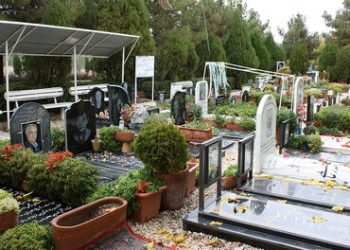 فرکانس | گور لاکچری | فیلم