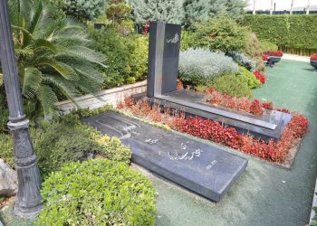 فرکانس | گور لاکچری