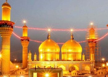 راهکاری برای گرفتن حاجات دنیایی از امام جواد(ع)