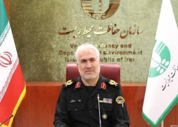 محموله بزرگ قاچاق حیات‌وحش در تهران کشف شد