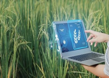 تمرکز دانش بنیان‌ها بر تولید بذور فناورانه و کشاورزی هوشمند دیجیتال