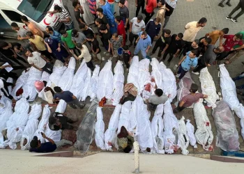 غزه در محاصره مرگ؛ کفن به‌جای غذا برای فلسطینیان!