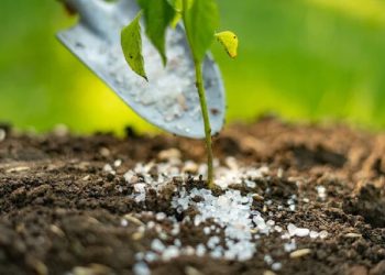 تولید کود آهسته رهش از ضایعات‌ کشاورزی