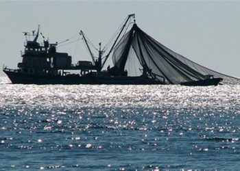 جلسه پزشکیان و فراکسیون محیطزیست؛تاکید بر تدوام ممنوعیت ترال