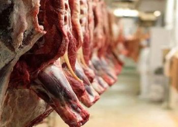 خودکفایی گوشت، قربانی رانت واردات شد