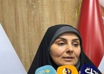 صادق:قیمت بلیت پروازهای اربعین تعیین می‌شود