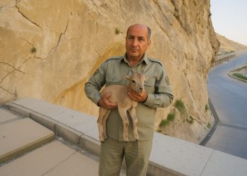 قانون بکارگیری سلاح توسط محیط‌بان؛ بمیر، بعد شلیک کن!