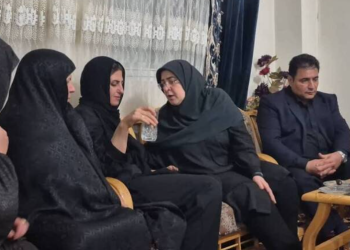 دیدار سخنگوی دولت با خانواده الهه حسین‌نژاد