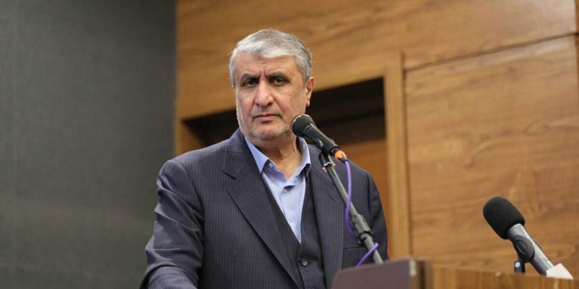 رئیس سازمان انرژی اتمی: نشت پرتویی که موجب نگرانی مردم شود، نداشتیم