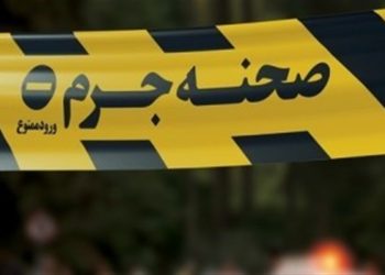 جزئیات قتل سروش ستوده با ۳ ضربه چاقو در خیابان ولنجک