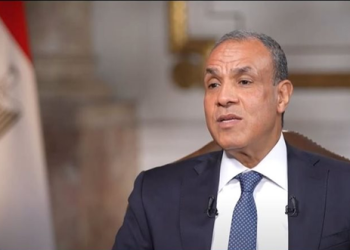 مصر: خاورمیانه جدید چیزی جز توهم روی کاغذ نیست