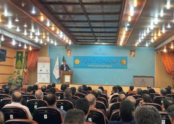 شناسایی ۸۵۰ هزار شرکت‌ صوری در کشور