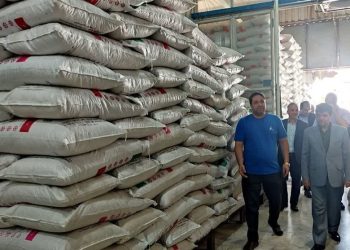 واکاوی گرانی برنج/ فشار برخی نمایندگان برای توقف واردات