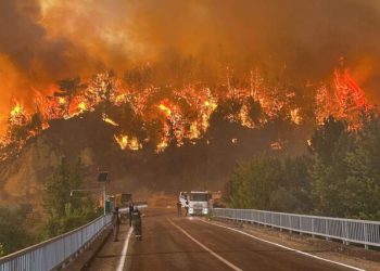 هشدار قرمز در «بورسا»؛ آتش به دروازه‌های چهارمین شهر بزرگ ترکیه رسید+فیلم