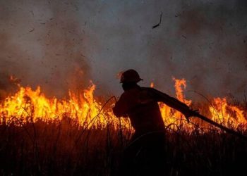 آتش‌سوزی‌های جنگلی در ترکیه؛ ۴ روستا تخلیه شد