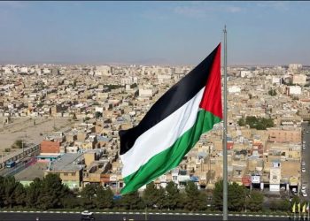 استقبال اسپانیا و ایرلند از تصمیم فرانسه درباره فلسطین