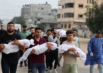 رویکرد شورای حقوق بشر سیاسی است نه انسانی