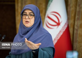 مهاجرانی: گفت‌وگو در خصوص مسائل هسته‌ای با شرایط پیچیده مواجه شده است