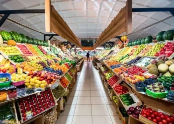 میوه‌های ایرانی در سفره‌ اعراب؛ آب ارزان ایران سر از کشورهای حوزه خلیج‌فارس در می‌آورد