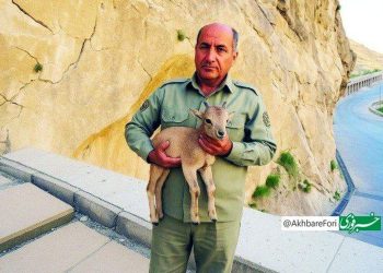 قاتل «هدایت الله دیده بان» همچنان متواری است